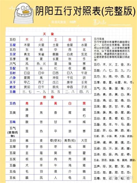 金木水火土職業|【五行 職業 表】五行職業大解密：你的八字五行適合。